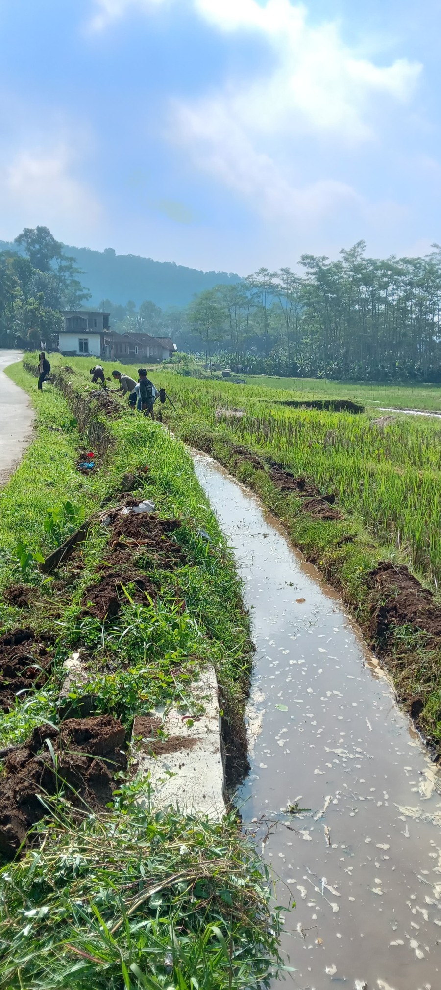 Berita